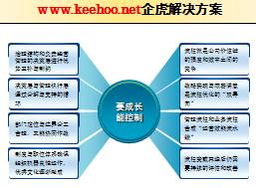 供應(yīng)企業(yè)運(yùn)營(yíng)管理咨詢 組織結(jié)構(gòu)與流程的常見問題與優(yōu)化路徑